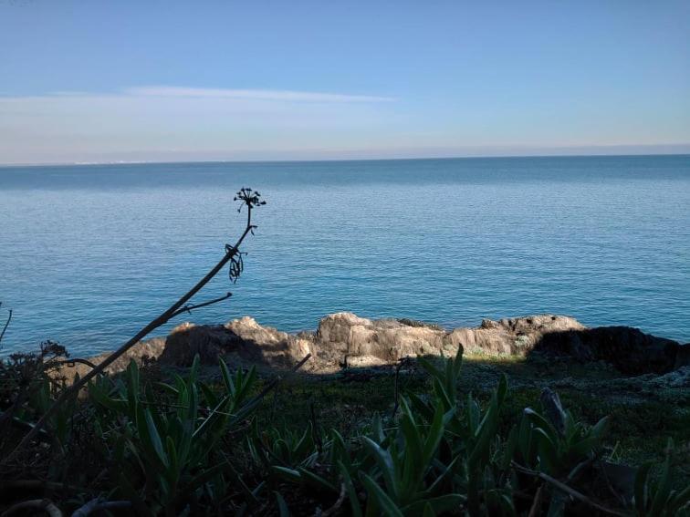 4Rb4 Appartement Type T2 Bord De Mer Acces Plage Direct Κολιούρ Εξωτερικό φωτογραφία